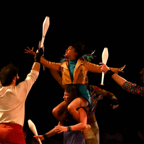 Foutoir céleste. Cirque. Transe. Coyote. Chapiteau. Ile de Nantes. Machines de l'île. Théâtre de la Fleuriaye.